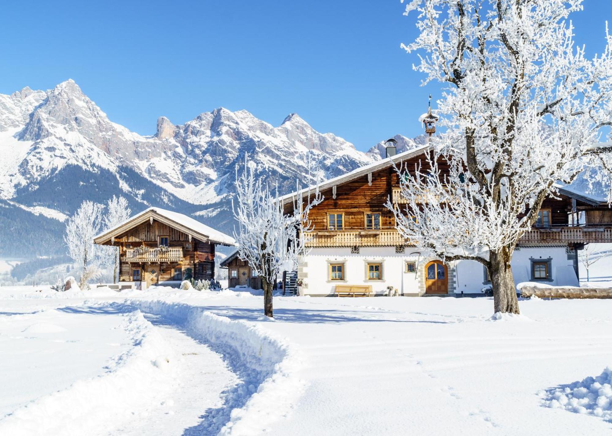 Hoferbichlgut Apartment Saalfelden Екстериор снимка