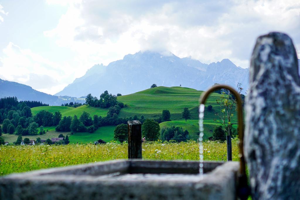 Hoferbichlgut Apartment Saalfelden Екстериор снимка